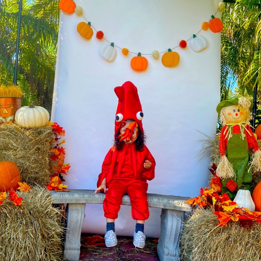 Squid Halloween Costume